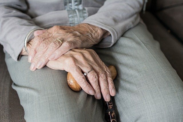 elderly care for seniors with terminal illness